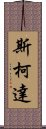 斯柯達 Scroll