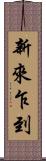 新來乍到 Scroll
