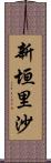 新垣里沙 Scroll