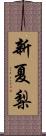 新夏梨 Scroll