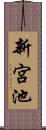 新宮池 Scroll
