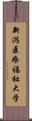 新潟医療福祉大学 Scroll