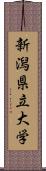 新潟県立大学 Scroll