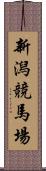 新潟競馬場 Scroll