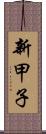 新甲子 Scroll