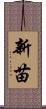 新苗 Scroll