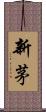 新茅 Scroll