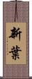 新葉 Scroll