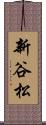 新谷松 Scroll