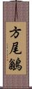 方尾鶲 Scroll