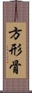 方形骨 Scroll