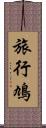 旅行鳩 Scroll