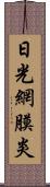 日光網膜炎 Scroll