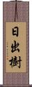 日出樹 Scroll