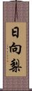 日向梨 Scroll