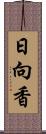 日向香 Scroll