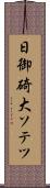 日御碕大ソテツ Scroll