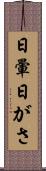 日暈 Scroll