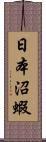 日本沼蝦 Scroll