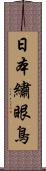 日本繡眼鳥 Scroll