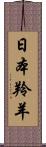 日本羚羊 Scroll