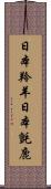 日本羚羊 Scroll