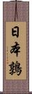 日本鶉 Scroll