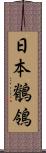 日本鶺鴒 Scroll