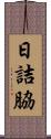 日詰脇 Scroll