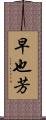 早也芳 Scroll