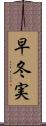 早冬実 Scroll