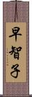 早智子 Scroll