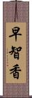 早智香 Scroll