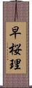 早桜理 Scroll