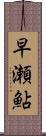 早瀬鮎 Scroll