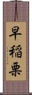 早稲栗 Scroll