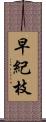 早紀枝 Scroll