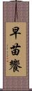 早苗饗 Scroll