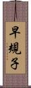 早規子 Scroll