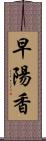 早陽香 Scroll