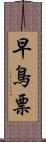 早鳥票 Scroll