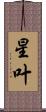 星叶 Scroll