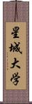 星城大学 Scroll