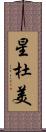 星杜美 Scroll