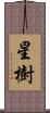 星樹 Scroll
