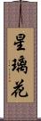 星璃花 Scroll