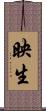 映生 Scroll