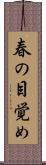 春の目覚め Scroll