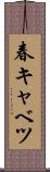 春キャベツ Scroll