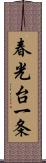 春光台一条 Scroll